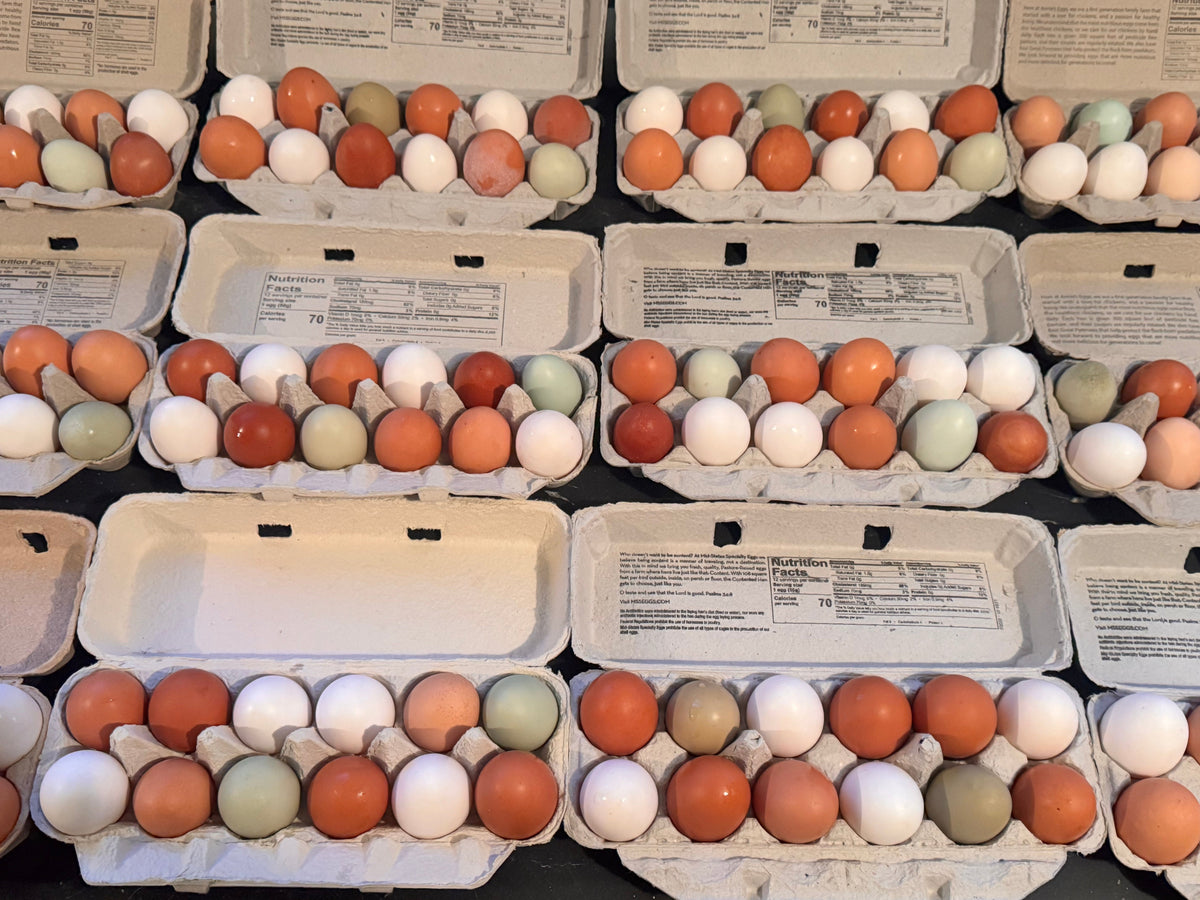 Farm Fresh Eggs